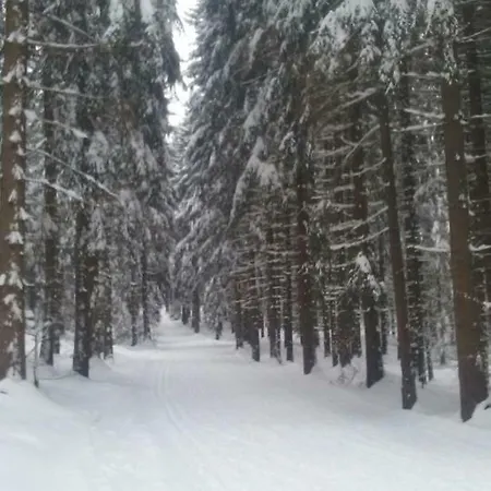 Medvědín 106 Špindlerŭv Mlýn